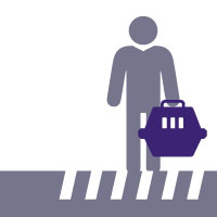 Normas de convivencia web sobre traslado de mascotas