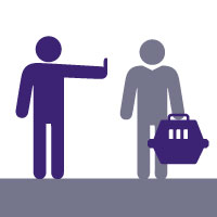 Normas de convivencia web sobre traslado de mascotas