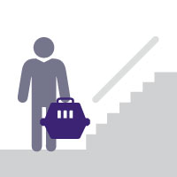 Normas de convivencia web sobre traslado de mascotas