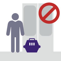 Normas de convivencia web sobre traslado de mascotas