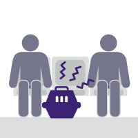 Normas de convivencia web sobre mascotas