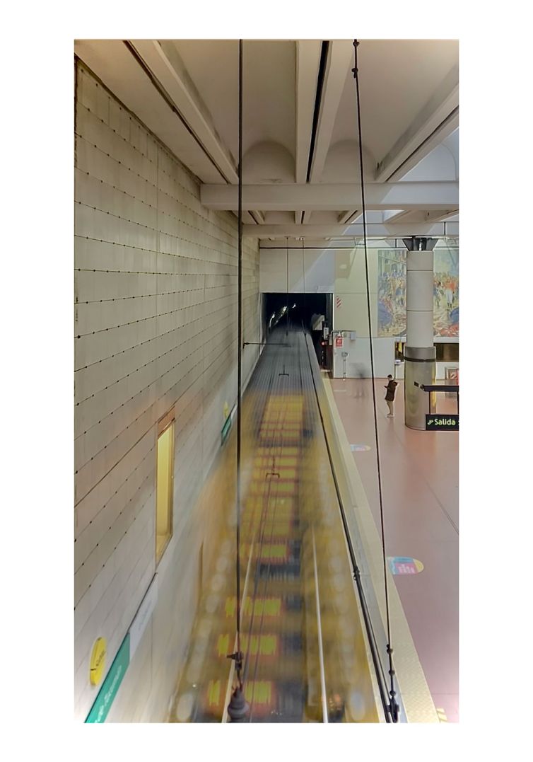 Púrpura Quinacridona, Estación Congreso de Tucumán, línea D