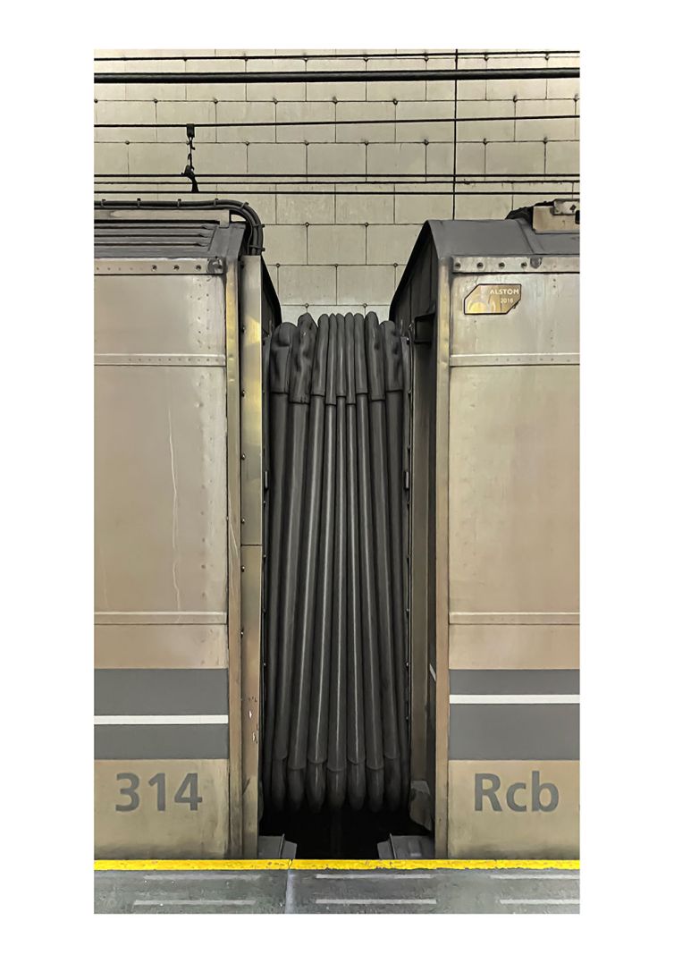 Púrpura Quinacridona, Estación Congreso de Tucumán, línea D