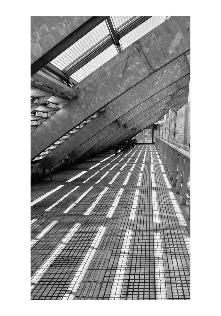 Púrpura Quinacridona, Estación Constitución, línea C